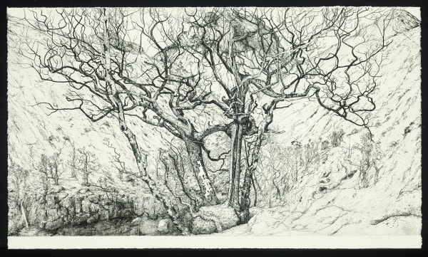 Ian Westacott Glen Nevis Gorge 2/10, 2021 etching on three copper plates 63 x 108 cm (plate size)