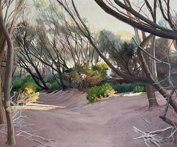 David Keeling Spring, Narawntapu, 2025 oil on board, framed 51 x 62 cm (framed size)