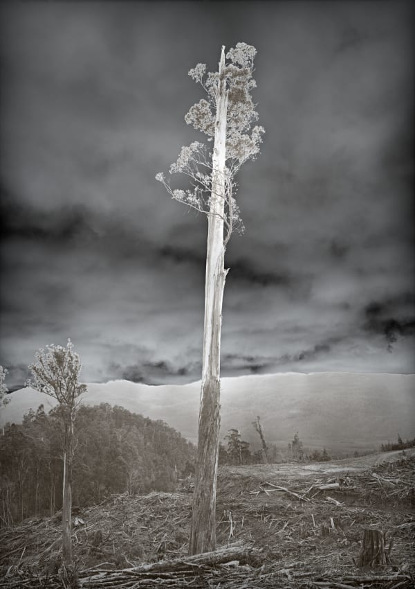 David Stephenson 2021/103 Maydena Range, 2021 archival pigment print on cotton rag paper 101.6 x 76.2cm (paper size) edition of 5