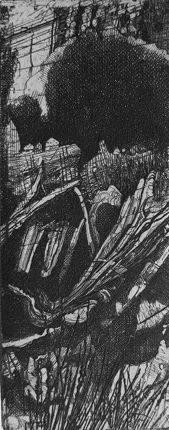 Raymond Arnold Elsewhere world fragment No.25, 2015 etching on 300gsm Velin Arches, unframed 40 x 30cm, paper size