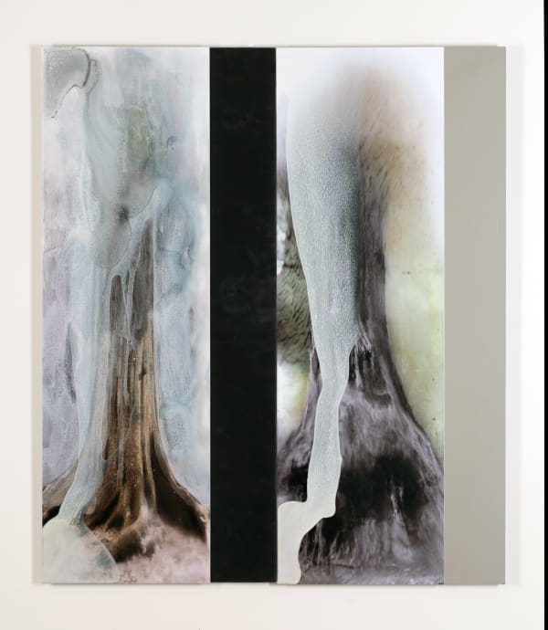 Janet Laurence Seeping out - After the Theatre of Trees, 2019 dye sublimation archival print on Chromaluxe aluminium with paint and pigments, wood and mirror two panels: 100 x 73 cm (overall size) unique state