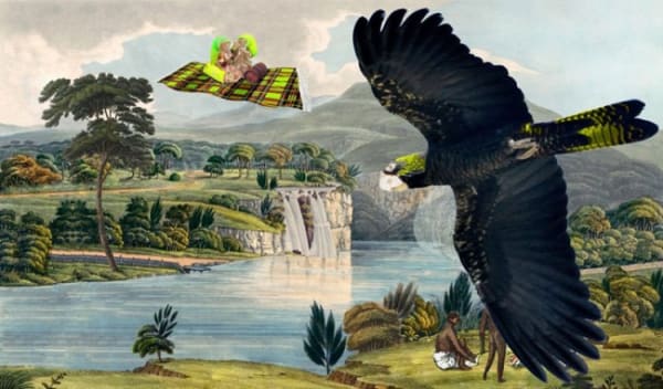 Joan Ross, BBQ This Sunday( flight paths) , 2011