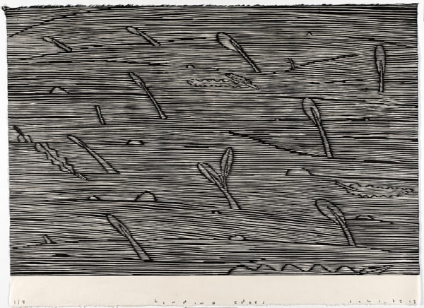 Michael Schlitz, Binding Edges, 2013