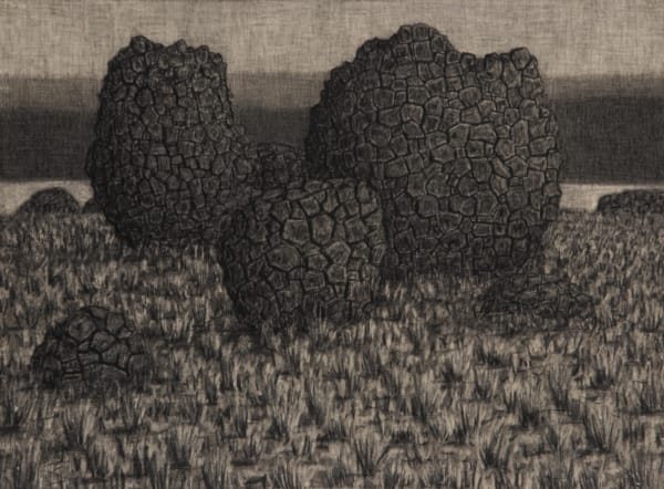 Richard Wastell Skittleballs, 2014 charcoal on paper 56 x 76cm (paper size)