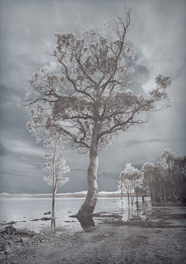 David Stephenson 2021/141 Drowned Valley of Derwent River at Lake King William, 2021 archival pigment print on cotton rag paper 101.6 x 76.2cm (paper size) edition of 5