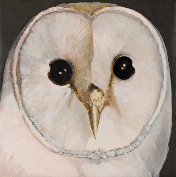 Helen Wright Essence of Owl, 2011 oil on linen, framed 41.5 x 40.5 cm (stretcher size)