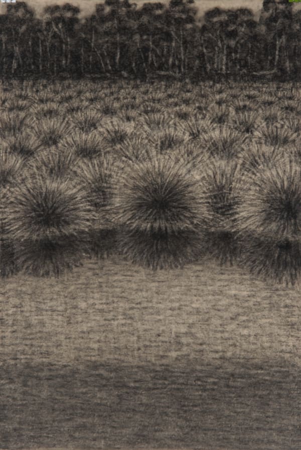 Richard Wastell Backwater, 2014 charcoal on paper 56 x 38cm (paper size)