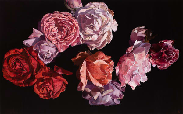 Stephanie Tabram Late roses, 2020 acrylic on linen 77 x 122cm