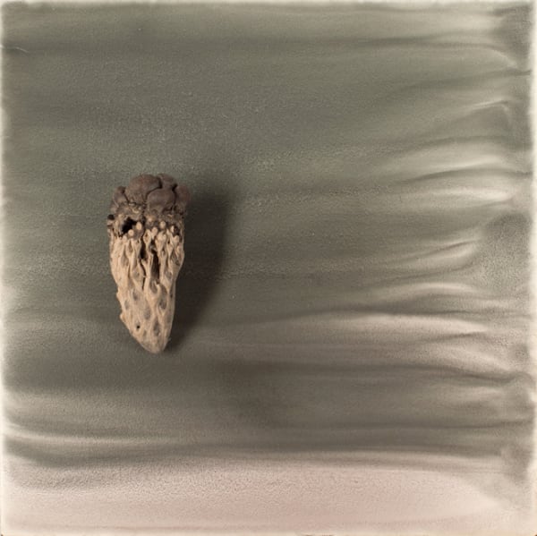 Sara Maher In relation 2 (kernel), 2016 watercolour & kernel on clay board, framed