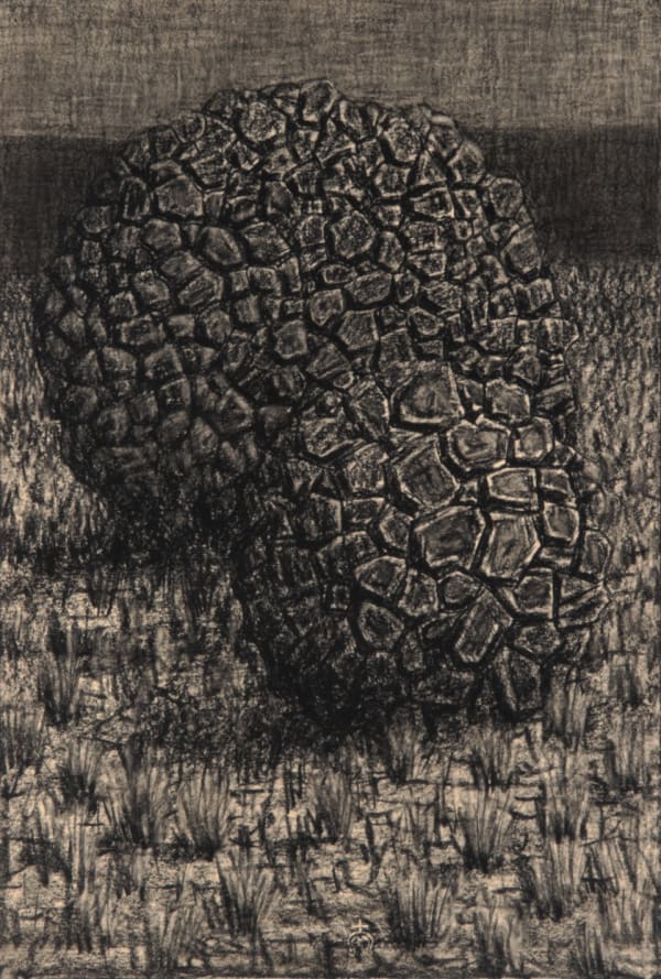 Richard Wastell Skittleball Pair, 2014 charcoal on paper 56 x 38cm (paper size)