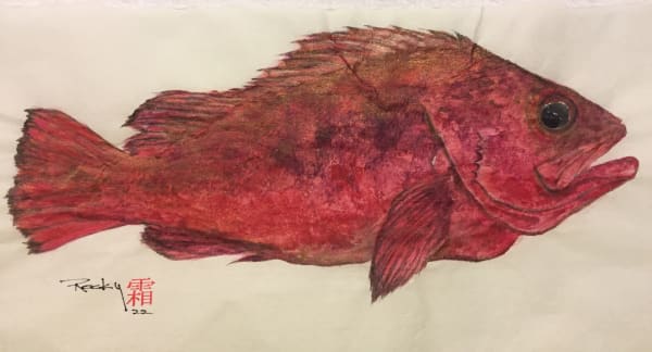 Rocky Frost, Red Rockfish #8