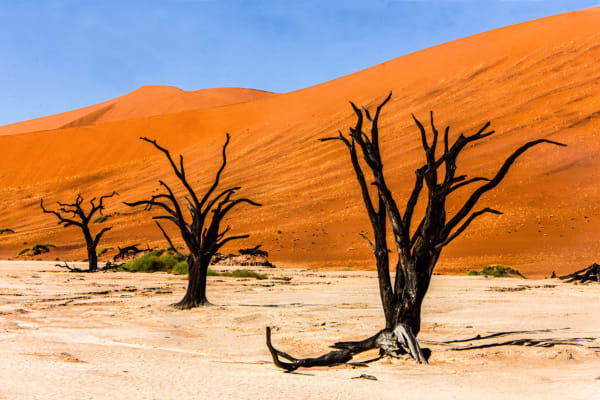 Peter Fay, Deadvlei Desiccation