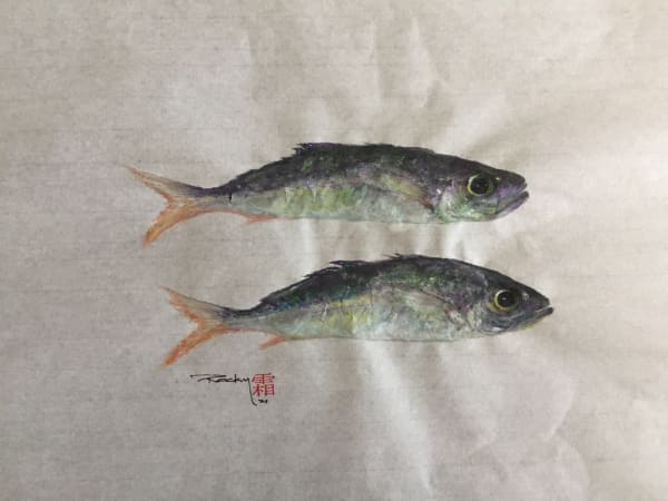 Rocky Frost, Spanish Mackerel #2