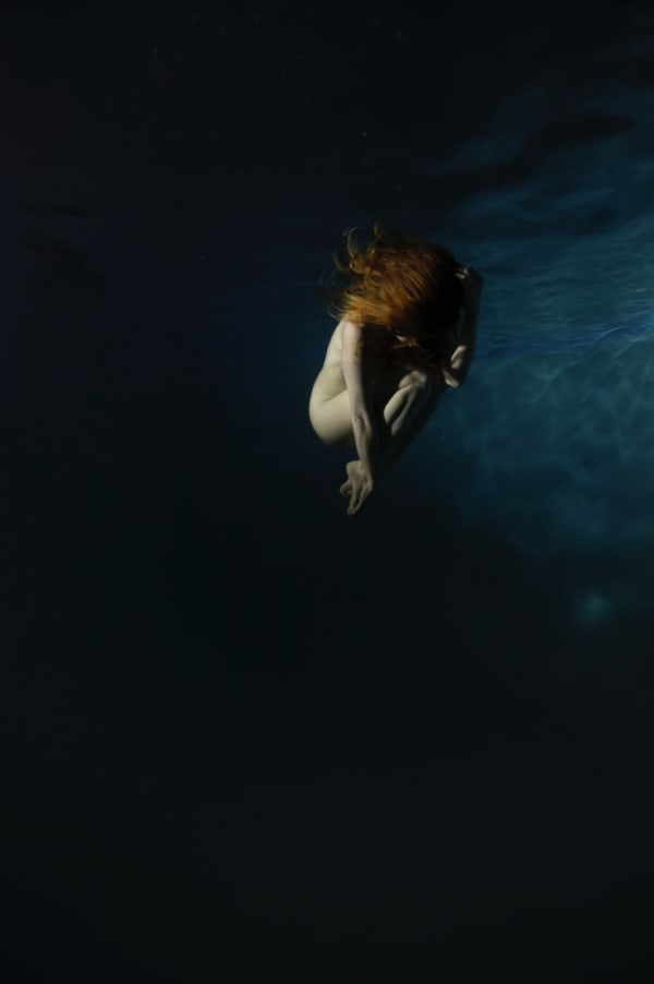 TrustyScribe, Evident The Heart