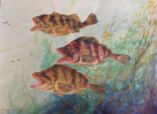 Rocky Frost, Family Tree Fish