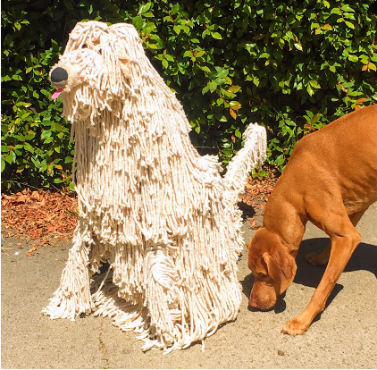 Max Roemer, Mops, as Dog, 2021
