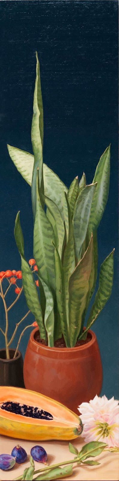 Jeffrey Gallinson, Snake Plant / Night