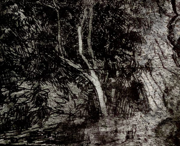 Desmond Healy ARE, Tree