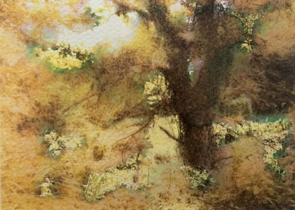 David Hamilton RWS , Undercliff Tree