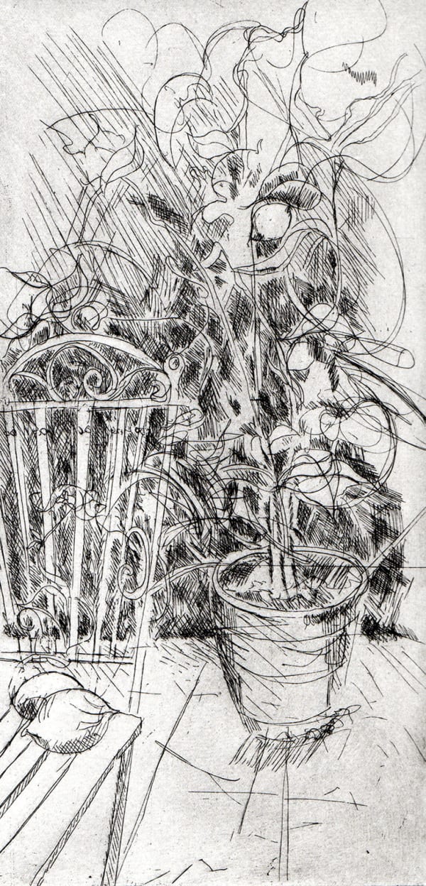 Ros Ford RE, Lemon Tree