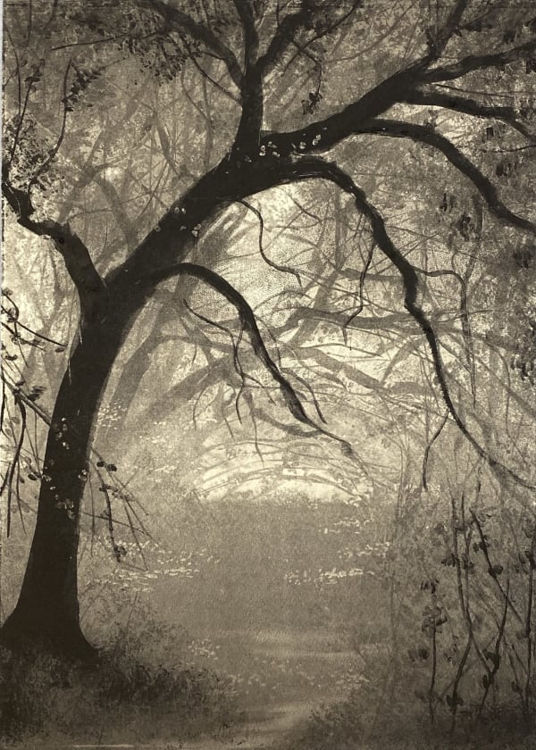 Fiona Fouhy ARE, Shelter