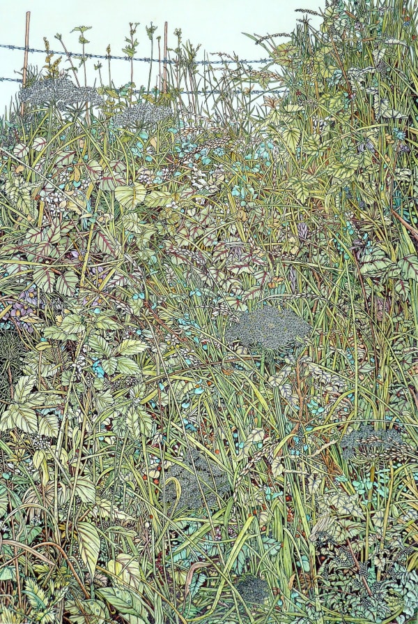 Meg Dutton RE, Hedgerow