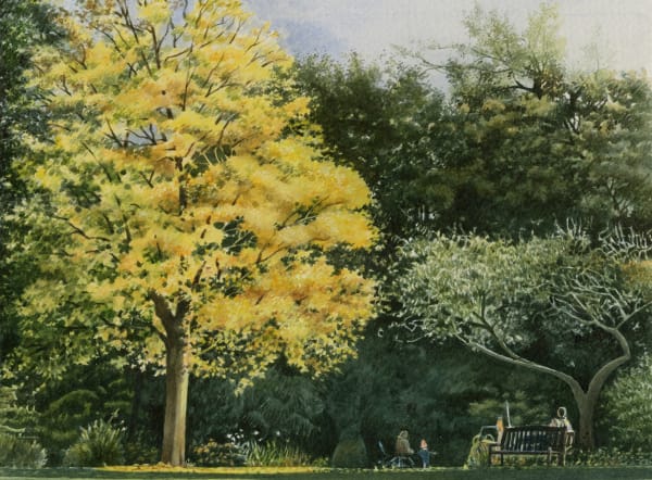 Liz Butler RWS, Glorious Maple in the October Sunshine