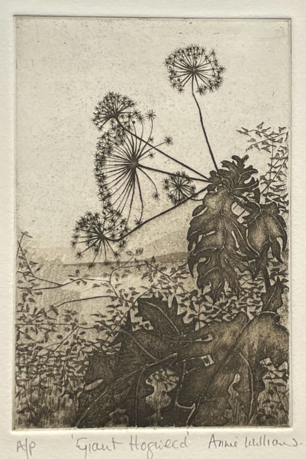 Annie Williams RWS RE, Giant Hogweed
