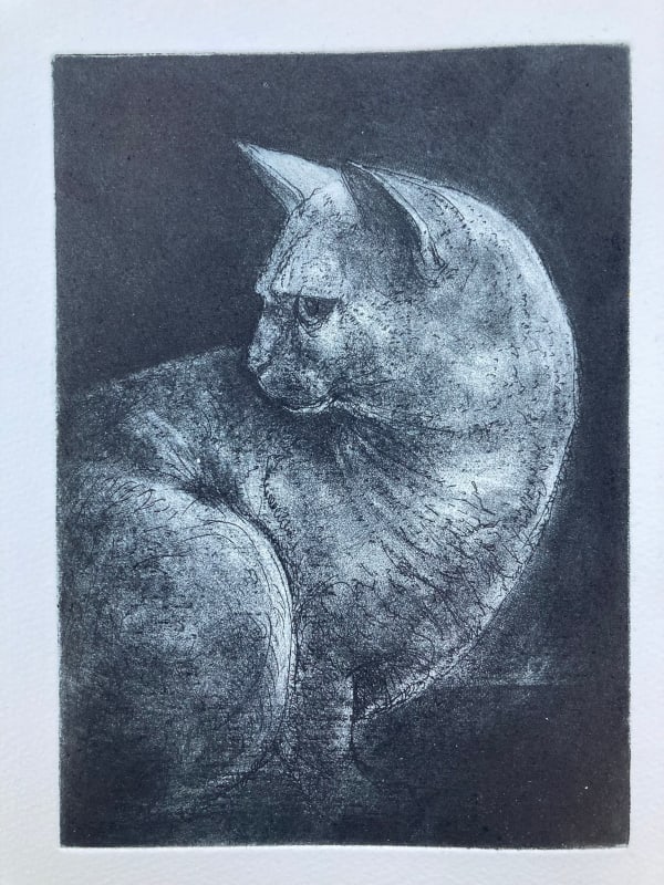 Chris Salmon RE, White Cat