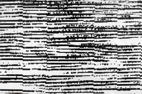 Leonie Bradley RE, Tint I