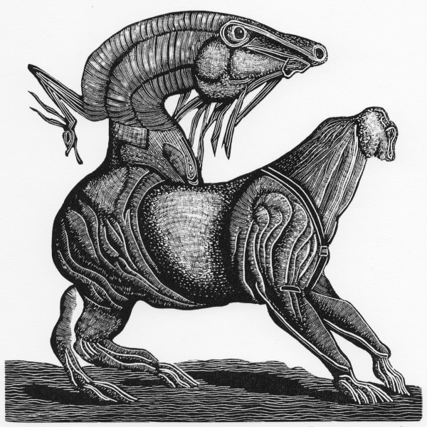 Leonie Bradley RE, Text Prompt: A General History of Quadrupeds II