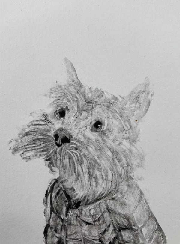 Chris Salmon RE, Yorkie
