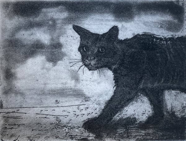 Chris Salmon RE, Cat Walk