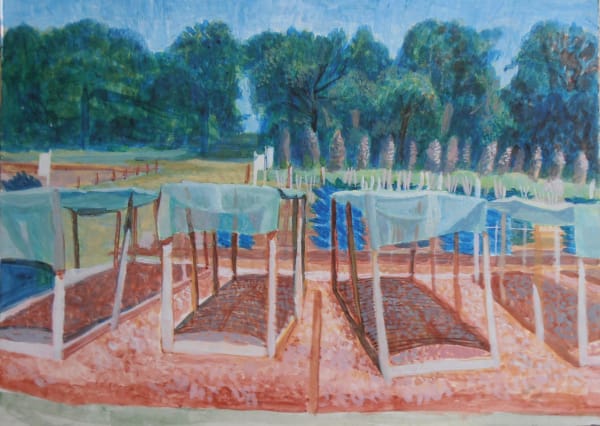 Michael Collins RWS, Wisley Study