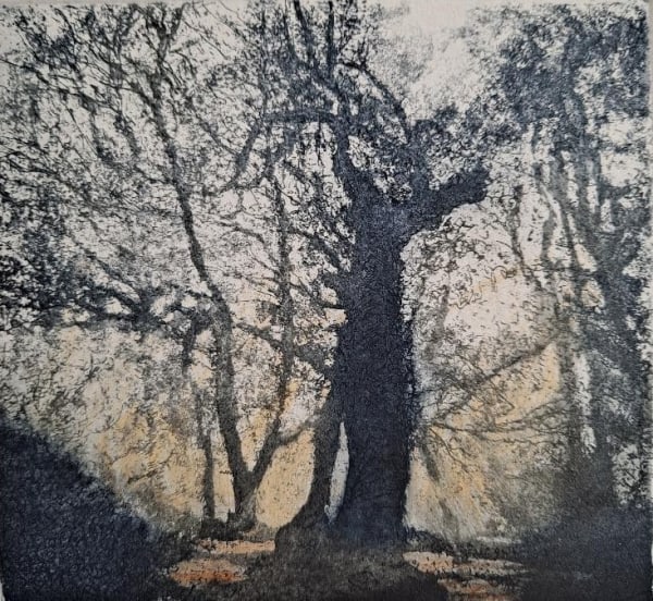 Jo Barry RE, Winter solstice