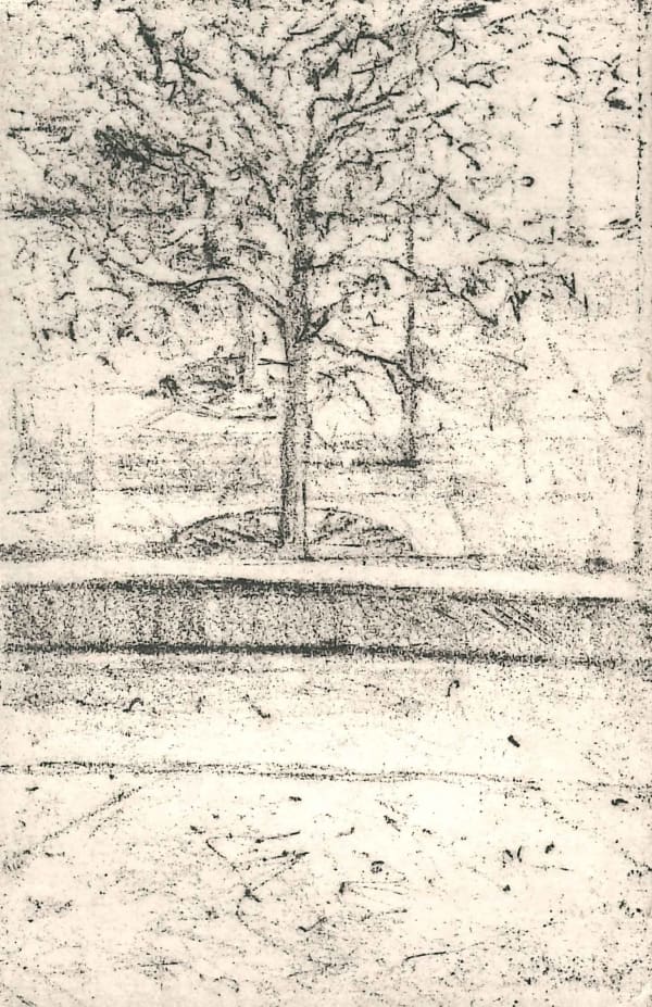 David Lintine ARE, Courtyard View