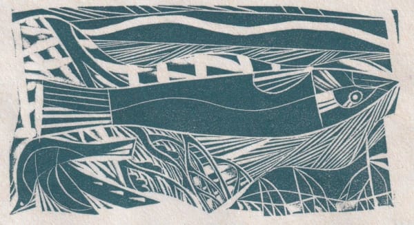 Jonathan Gibbs ARE, Fluvius