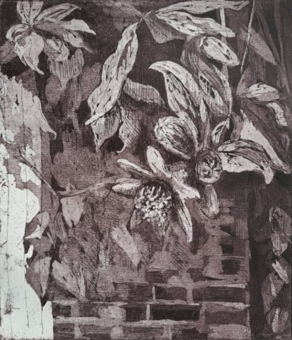 Hilary Daltry RE, Pomegranate Flower, Swan Walk