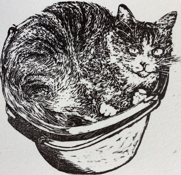 Ann Tout RE, Tabitha