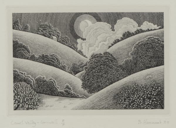 Brian Hanscomb RE, Camel Valley - Cornwall