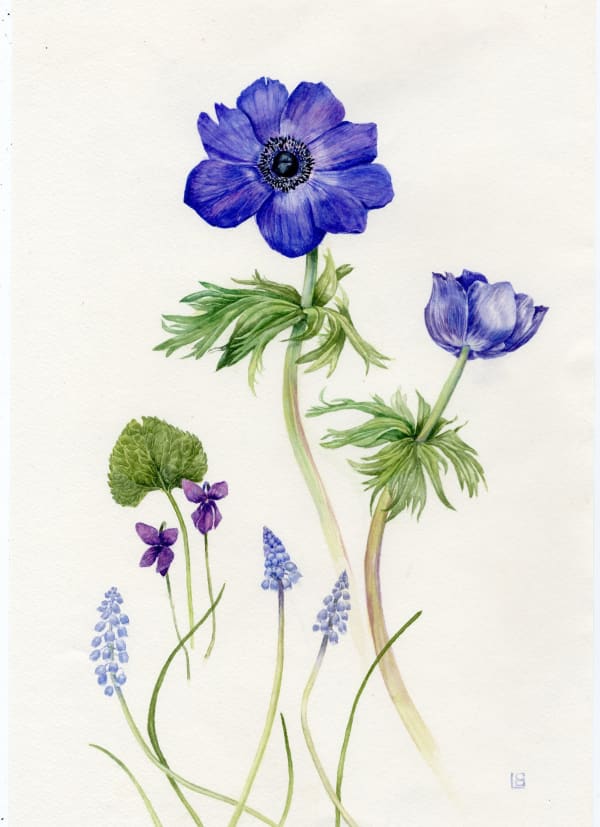 Liz Butler RWS, Blue spring flowers