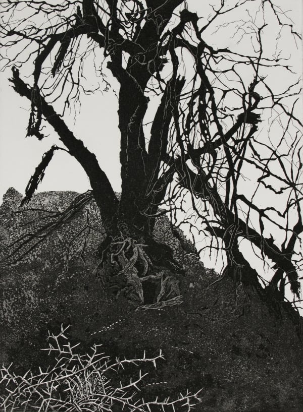 Marianne Ferm VPRE, Waiting for the Rains