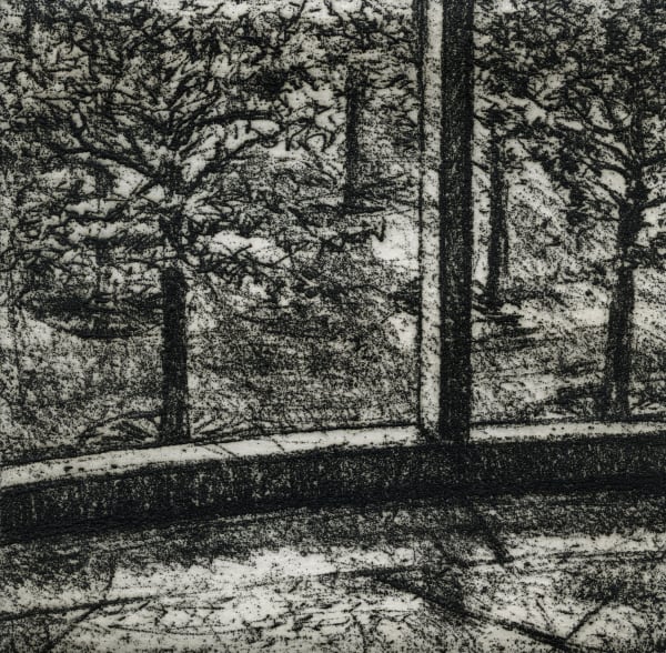 David Lintine ARE, Courtyard Trees 2