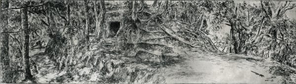 Austin Cole RE, Kamakurra Trail 6