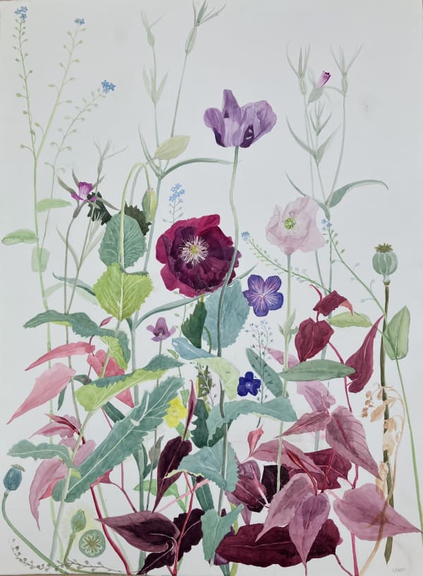 Suzy Fasht RWS, Garden Flowers, June