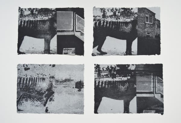 Ian Rawlinson ARE, Chimera (multiples)