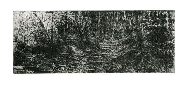 Austin Cole RE, A Walk in Betws Y Coed