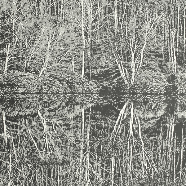 Trevor Price RE, Reflections V