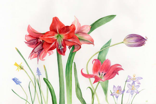 Liz Butler RWS, Amaryllis and spring flowers