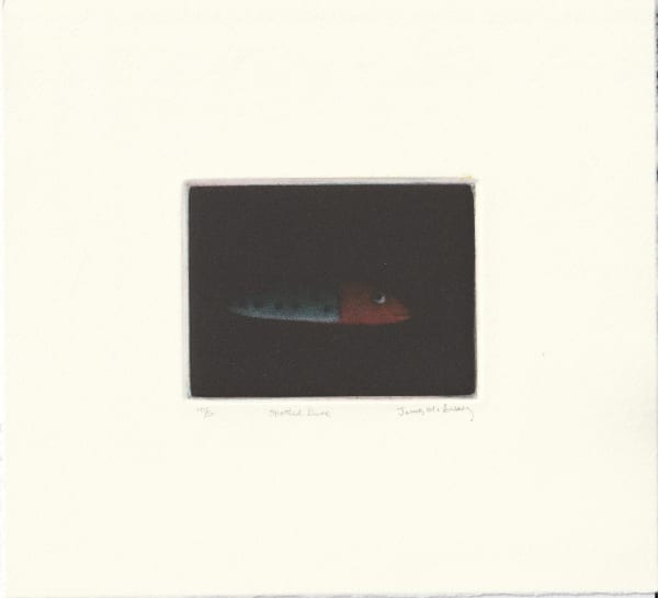 James McCreary ARE, Spotted Lure